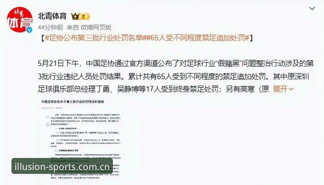 幻影体育下载地址官方下载 中国足协第三批禁足名单出炉,行业乱象深度解析最新动态
